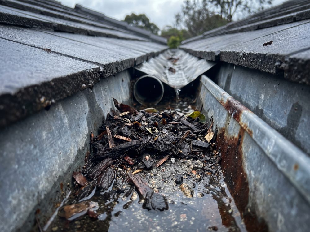 Dakgoot volledig dichtgeslibd met vergaan mos en bladeren, met water dat over de rand loopt