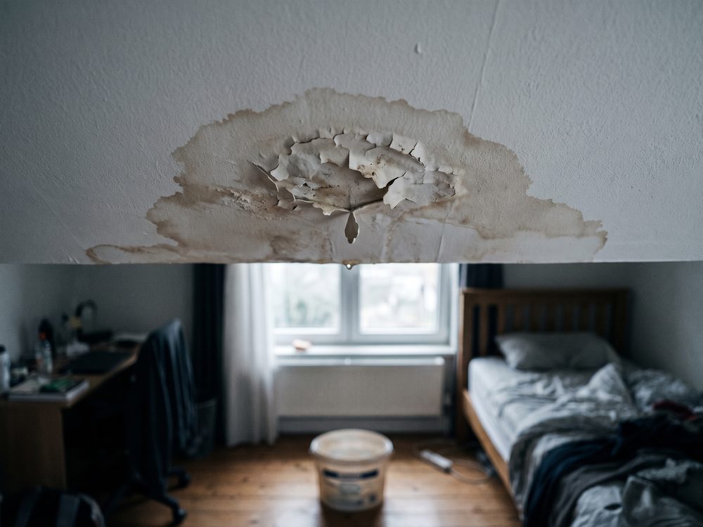 Bruine watervlek op een wit plafond, met de verf die opbolt in het midden