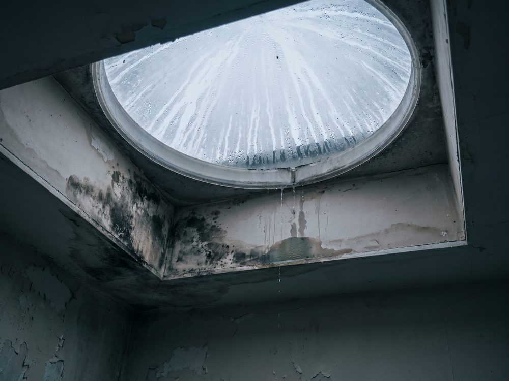 Condens aan de binnenkant van een lichtkoepel, met vochtvlekken op de afwerking van de koker eronder