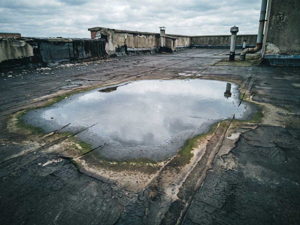 Plas stilstaand water op een oude bitumen dakbedekking, met vuilranden en blaasvorming errond