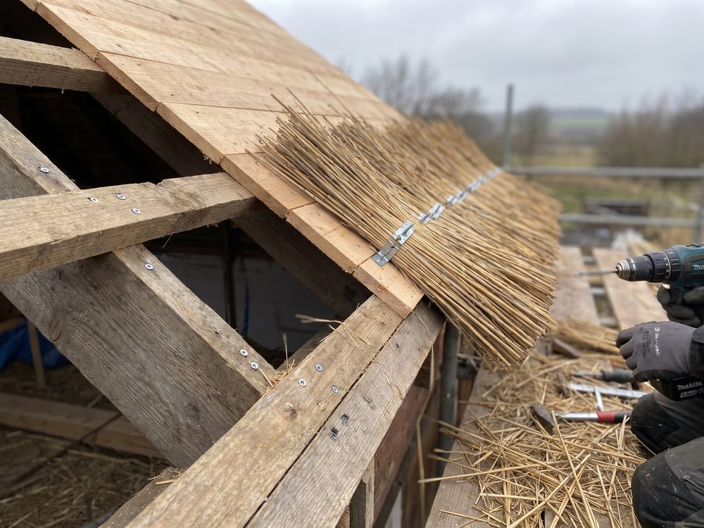 Doorsnede van een schroefdak in aanbouw, met de kepers, de gesloten plaat erover en het riet daarop geschroefd