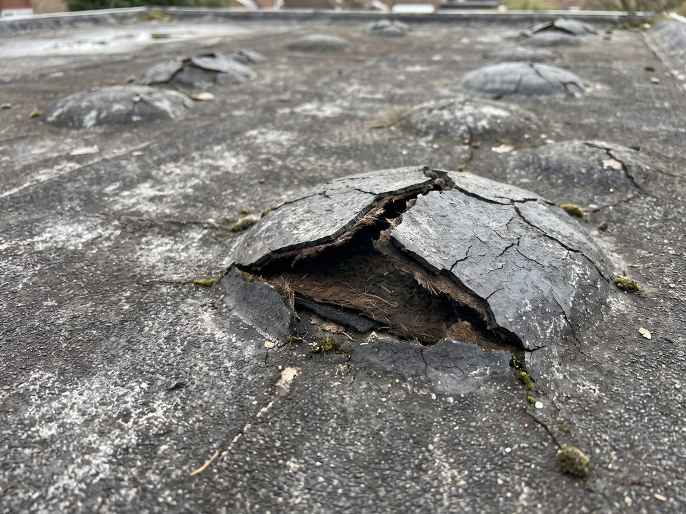 Blaasvorming in een oude bitumen dakbedekking, met meerdere bobbels waarvan er een is opengebarsten